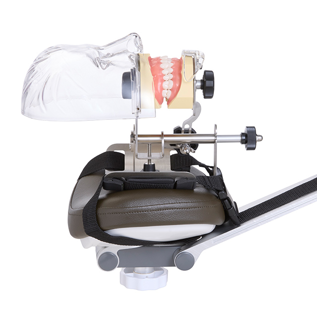 FEEDデンタル】シンプルマネキン3 チェアマウントセットの通販｜実習