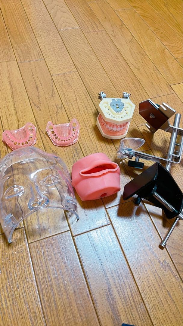 歯科衛生士　シンプルマネキン シンプルマネキン ウェビナーキット [SIMPLE MANIKIN Webinar Kit